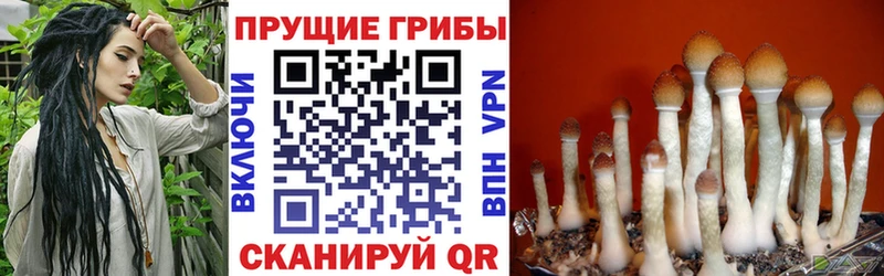 Псилоцибиновые грибы Magic Shrooms Комсомольск